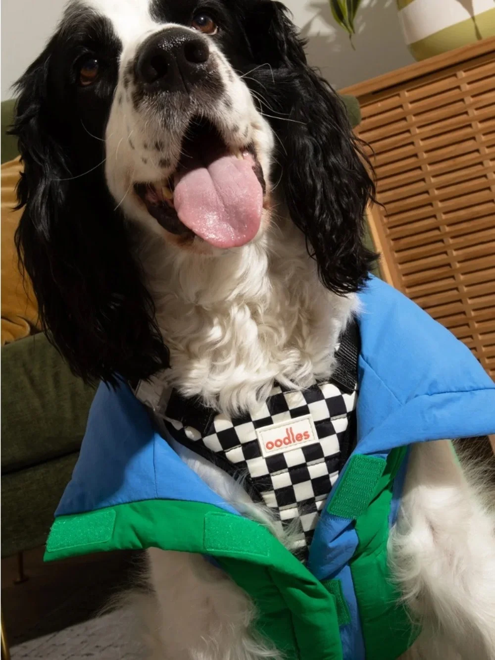 New- medium Puffer  Green /Blue Reversible Dog  Coat - Vest